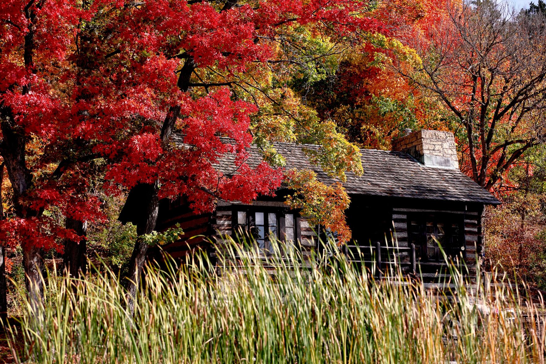 Fall colors in Pere Marquette State Park